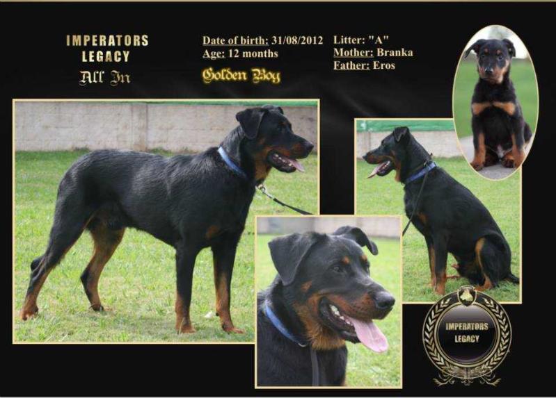 Imperator´s Legacy All In | Beauceron 