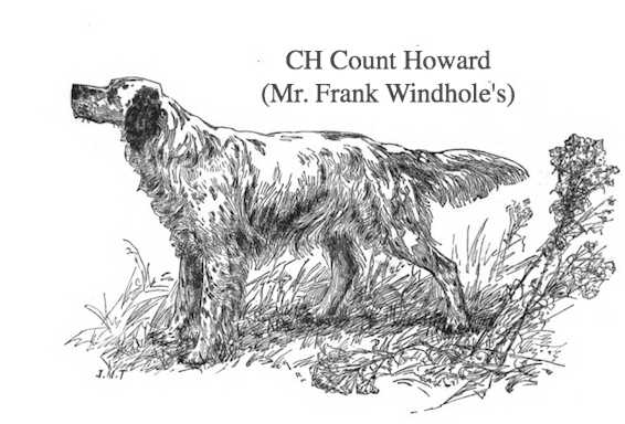 Count Howard (Mr. Frank Windhole's) | English Setter 