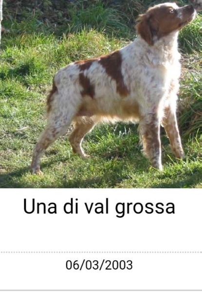 UNA di val Grossa | Brittany 