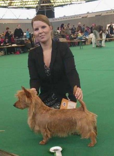 Nellyson's Need My Nightie | Australian Terrier 