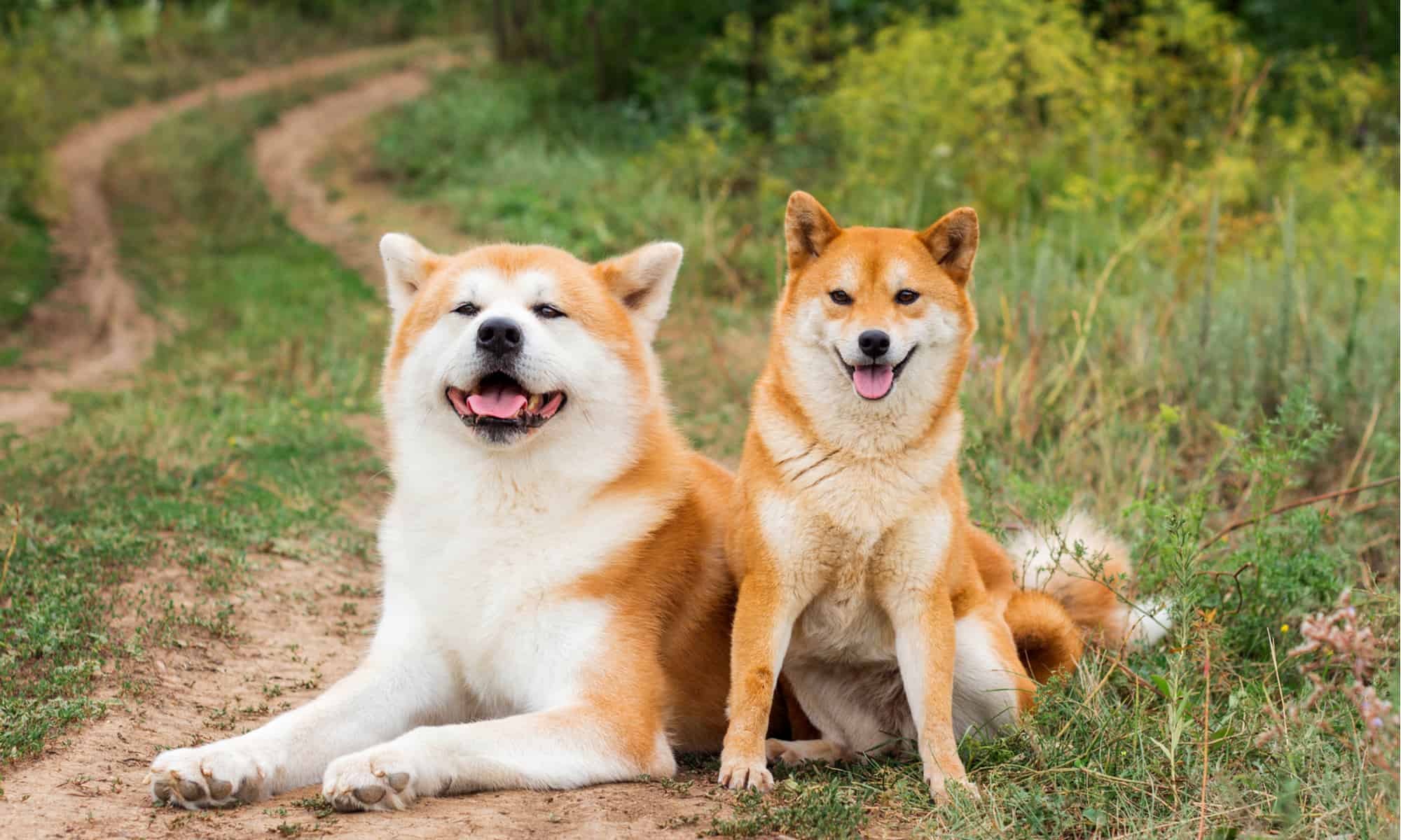 Hokkaido