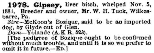 Gipsey (1881) | Field Spaniel 