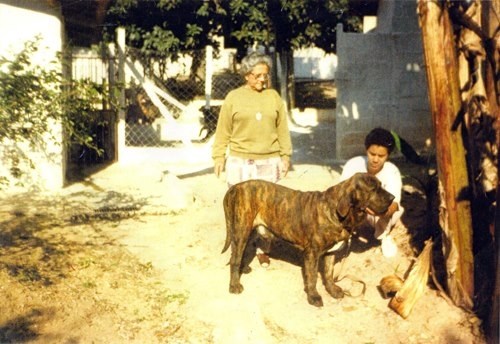 SERTANEJO DO CAUDILHO | Fila Brasileiro 