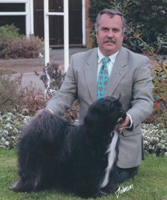 Araki Ethelbert | Tibetan Terrier 