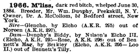 M'liss (1884) | Irish Setter 