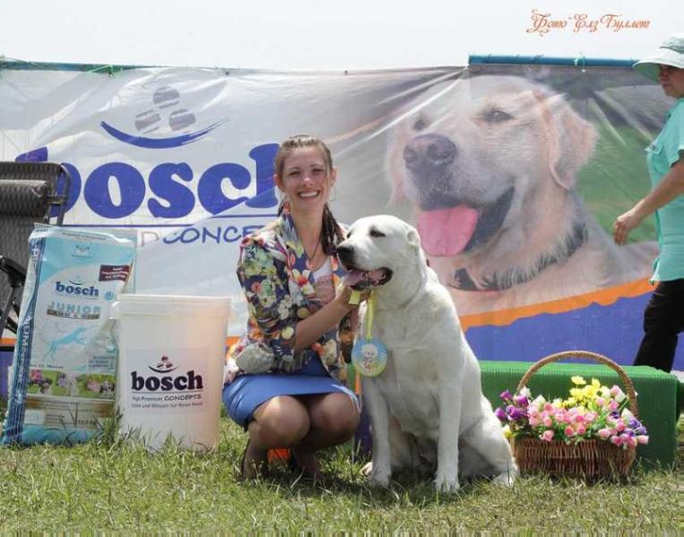 Elz Bullet Diana Korolevskaya Osoba | Central Asian Shepherd Dog 