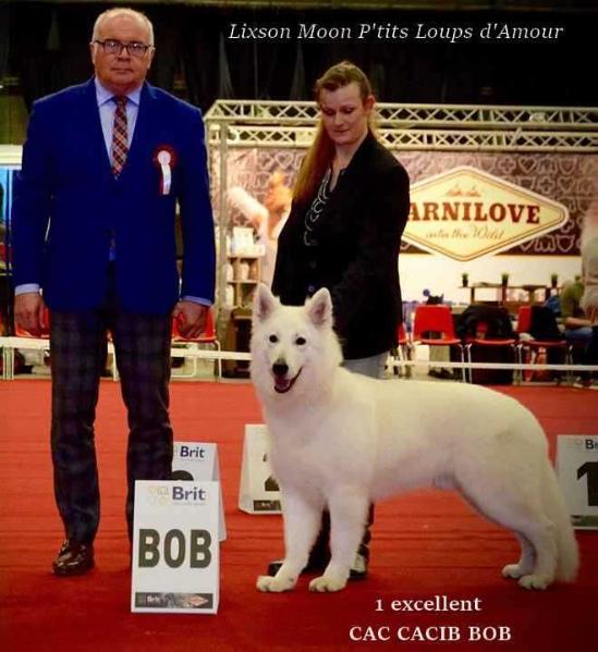 Lixson Moon P'tits Loups d'Amour | White Swiss Shepherd Dog 