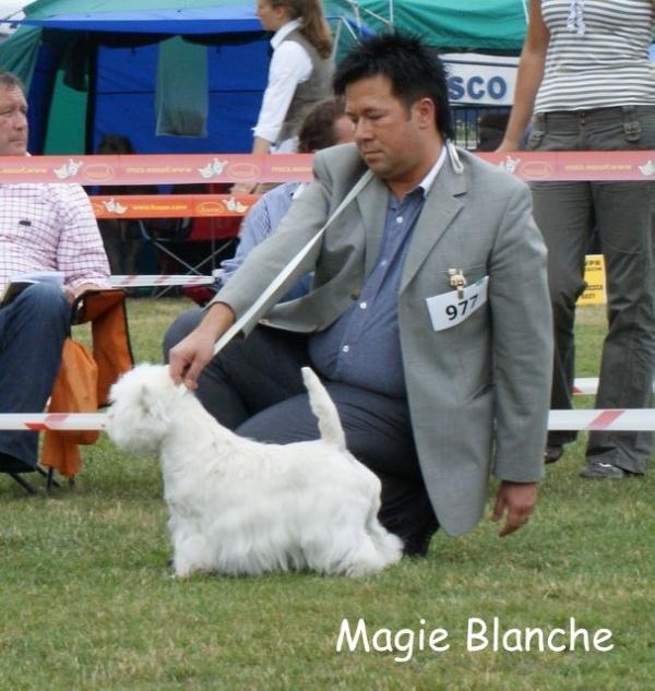 U ARE MY SILVER STAR FROM Voldemort | West Highland White Terrier 