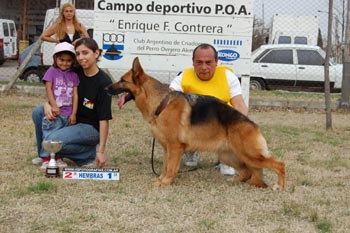 Ariadna D´Hera | German Shepherd Dog 