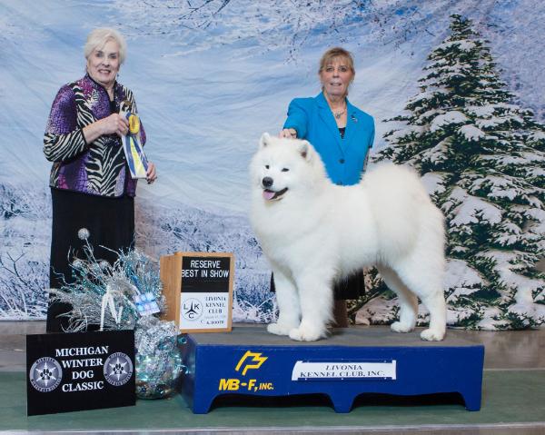 White Eagle's the Sky's the Limit for Alpine Glo | Samoyed 