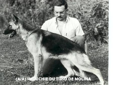 Smouchie du Tirso de Molina | German Shepherd Dog 