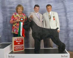 Popocatepetl (Guerrero) | Giant Schnauzer 