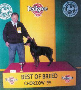 ARGO Zborovsky Zleb | German Pinscher 