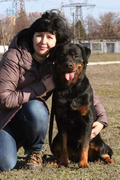 Montana Teren | Rottweiler 