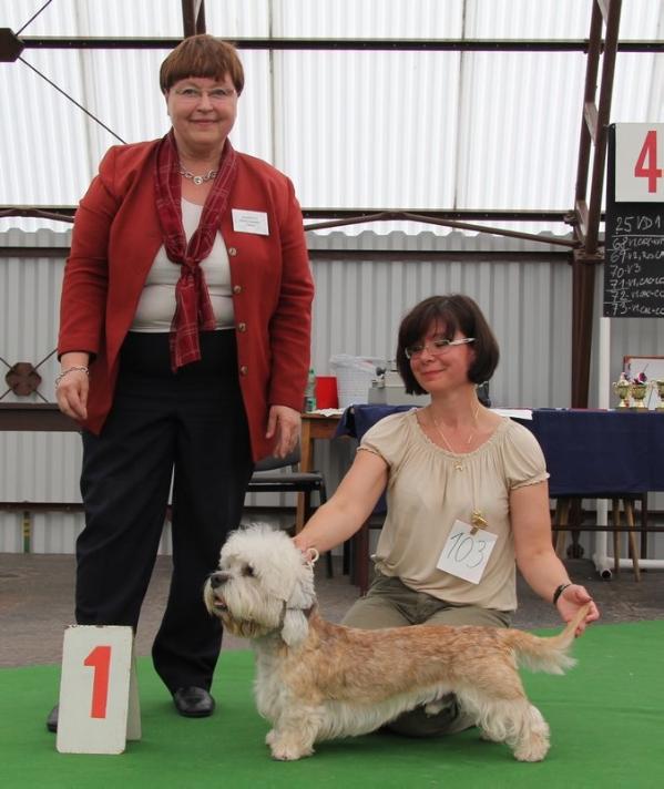 Diamond Dazzle ze Zihelske Zahrady | Dandie Dinmont Terrier 