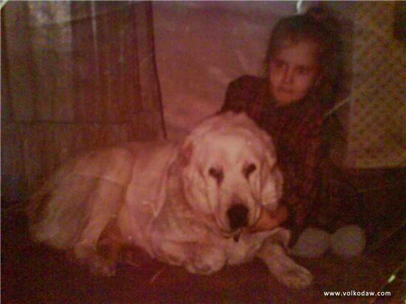 Ayse | Central Asian Shepherd Dog 
