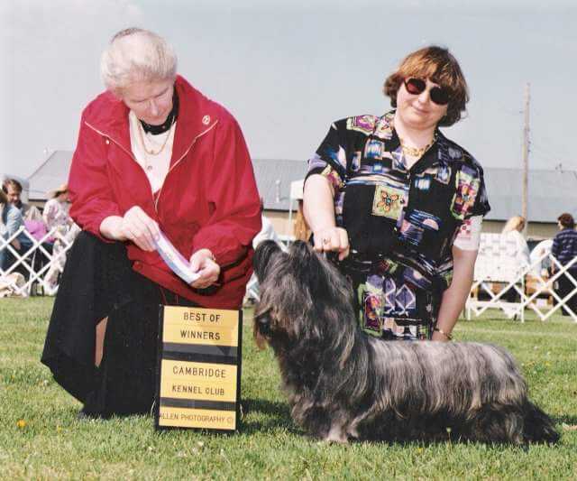 Lairdoglen The Highlander | Skye Terrier 