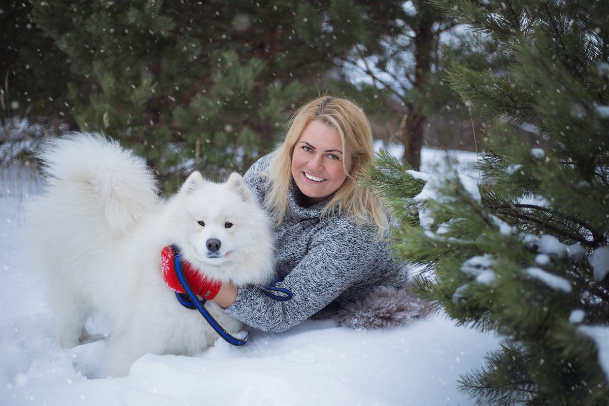 Snezhnoe Kruzhevo Stepanida | Samoyed 