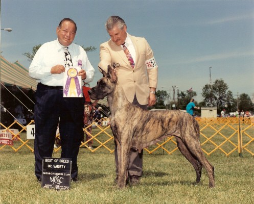 Nikolodeon's Whistling Roxie | Great Dane 