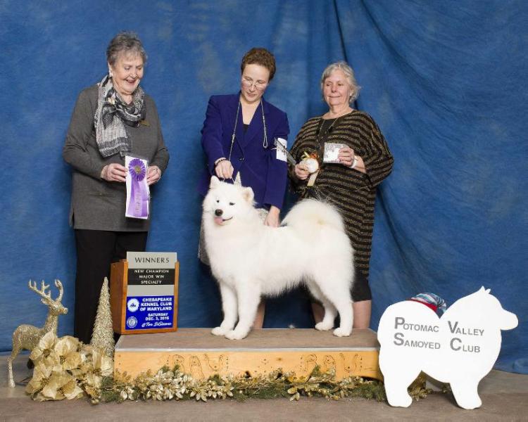 Daystar's Prophetic Song of Faith | Samoyed 