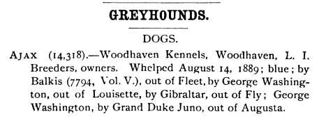 Ajax (1889) AKC 014318 | Greyhound 