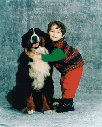 Timba V. Bahndamm | Bernese Mountain Dog 