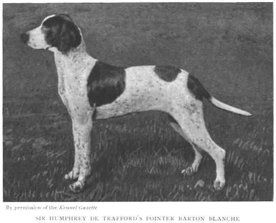 Barton Blanche [Sir Humphrey de Trafford's] | Pointer 