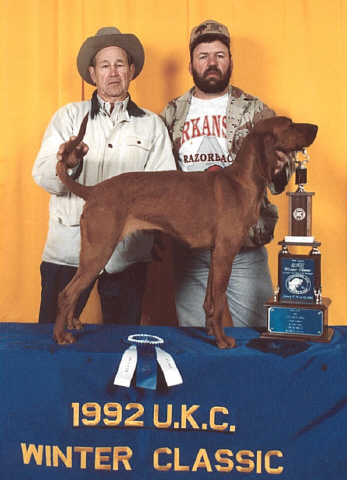 Hills sierra red queen | Redbone Coonhound 