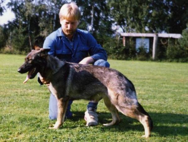 Ira vom Körbelbach | German Shepherd Dog 