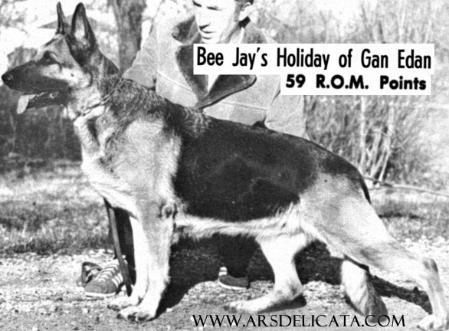 Bee Jay's Holiday of Gan Edan | German Shepherd Dog 