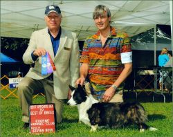 Coedwig's Annie Oakley | Cardigan Welsh Corgi 