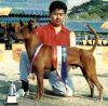 NAM-DAENG OF MANEE THARUA | Thai Ridgeback 