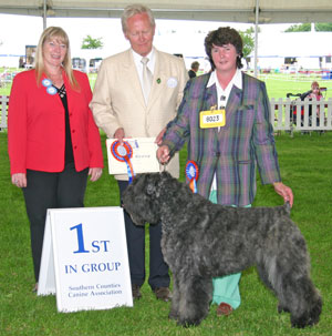 Quiche's Douglas at Kanix | Bouvier des Flandres 