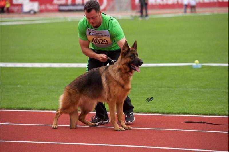 Xena vom Thermodos | German Shepherd Dog 