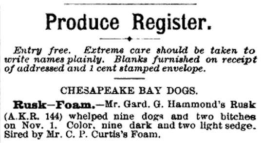 1884 Litter Produced Register | Chesapeake Bay Retriever 