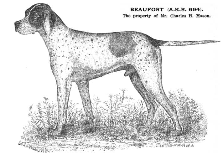 Beaufort (AKR 000694) | Pointer 