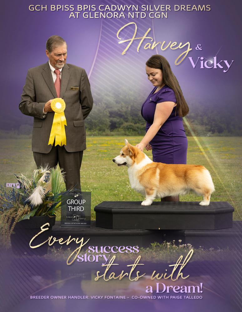 Cadwyn Silver Dreams at Glenora NTD CGN | Pembroke Welsh Corgi 