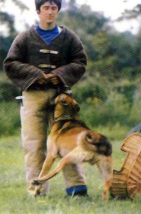 Gamin des Deux Pottois | Belgian Malinois 