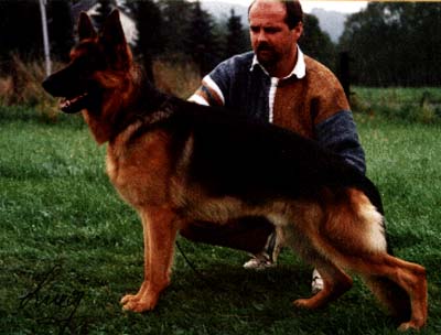 Don vom Osterberger-Land | German Shepherd Dog 