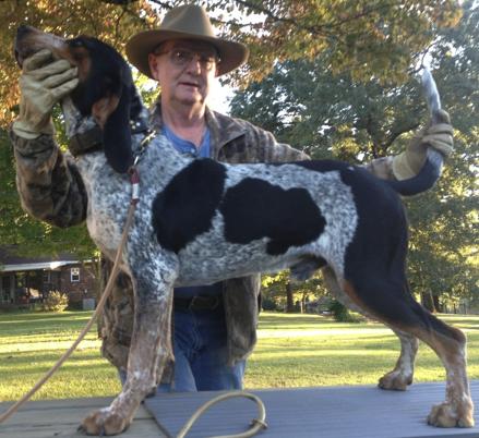 White Deer Blue Rooster | Bluetick Coonhound 