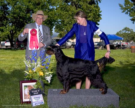 Sea  Star's Rhapsody in Blue | Gordon Setter 