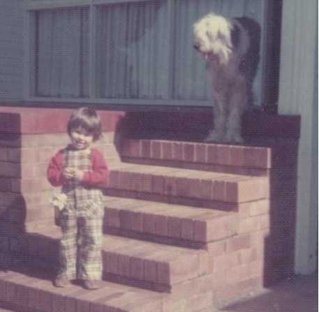 Airdrie Gypsy Rose | Old English Sheepdog 