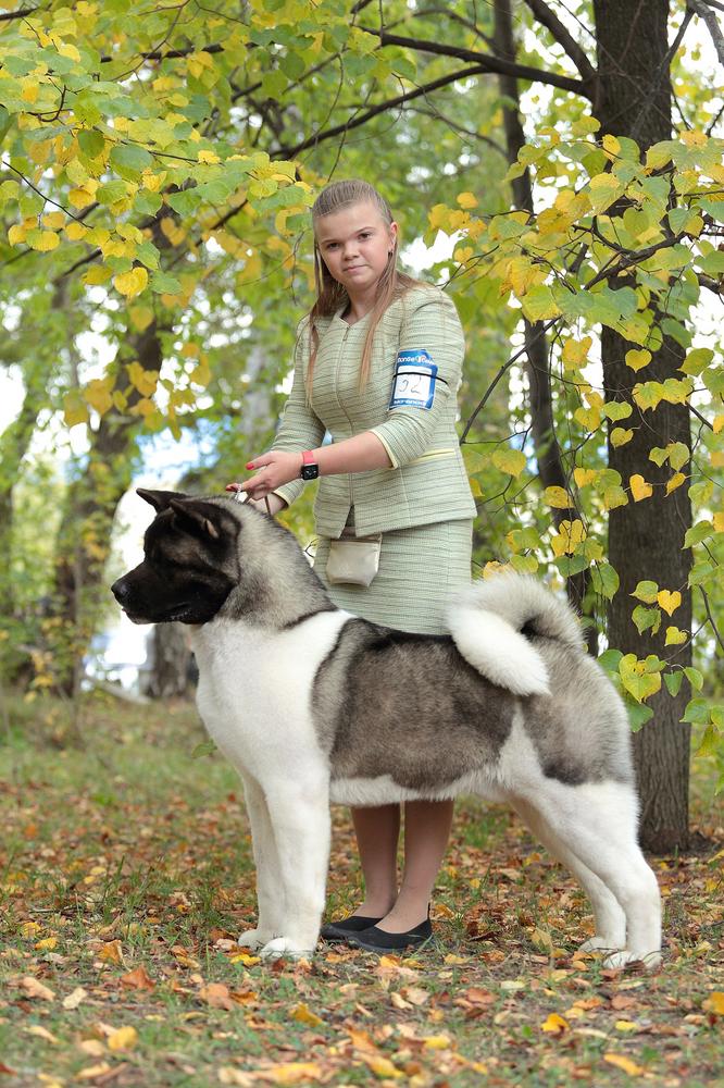 Zhofrey Flyng Biker Fo Bona Bollars | Akita 