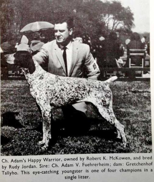 ADAMS HAPPY WARRIOR | German Shorthaired Pointer 