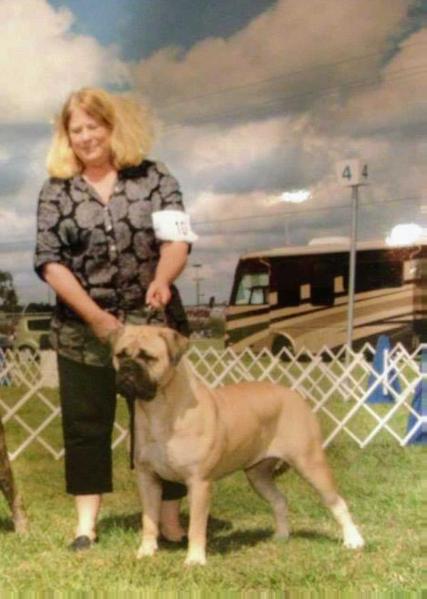 Bandog's Memphis Minnie NIX | Bullmastiff 