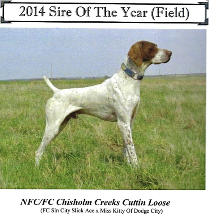 Chisholm Creeks Cuttin Loose | German Shorthaired Pointer 