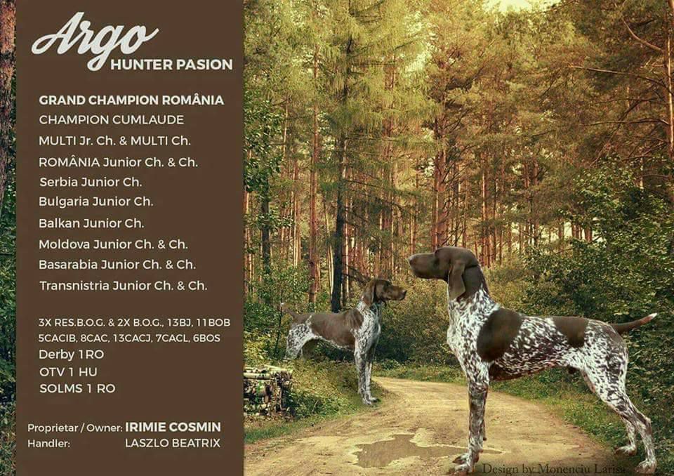 Hunter Pasion Argo | German Shorthaired Pointer 