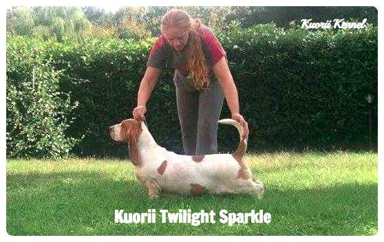 Kuorii Twilight Sparkle | Basset Hound 