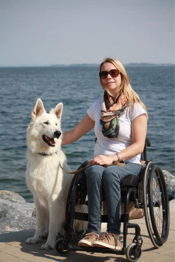 Bixx Bosse Elvis of White Night | White Swiss Shepherd Dog 