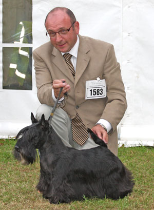 Stuane loch flora at myrlea | Scottish Terrier 